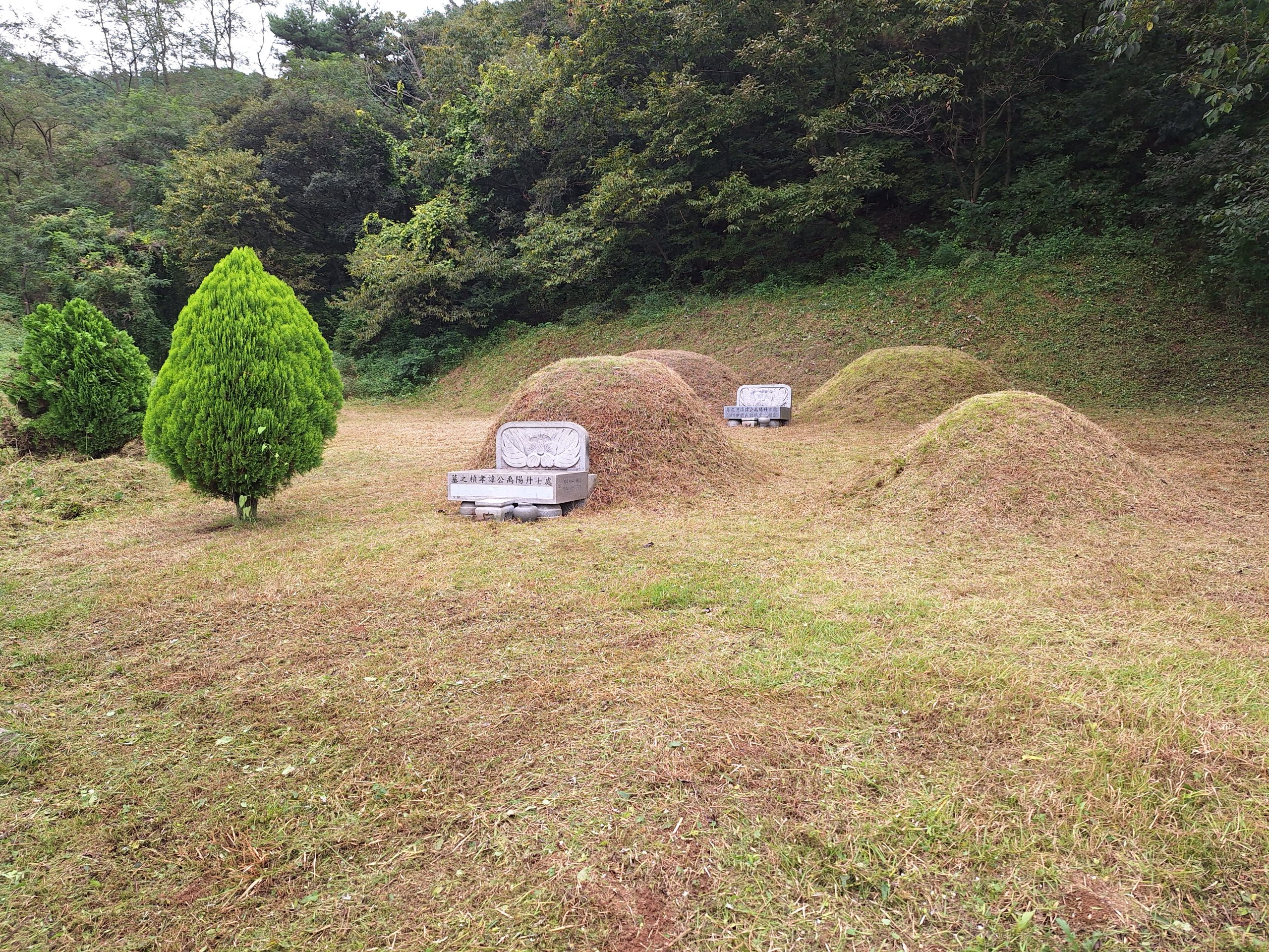 kakaotalk 20251020 140939421 05