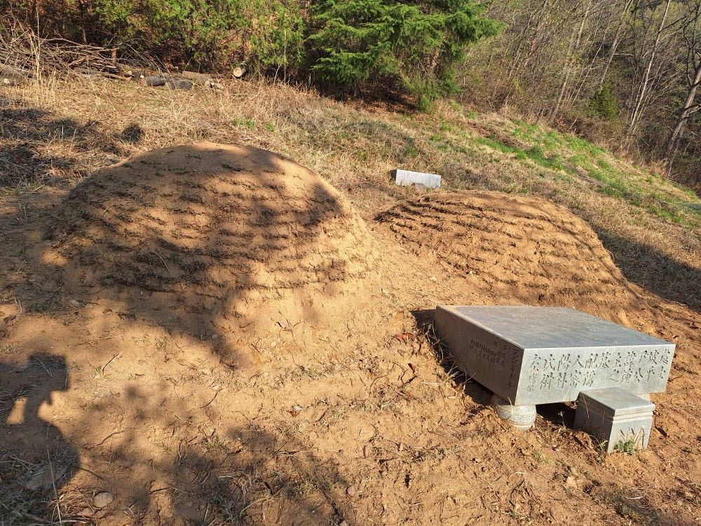 [크기변환]kakaotalk 20251020 140533454 03