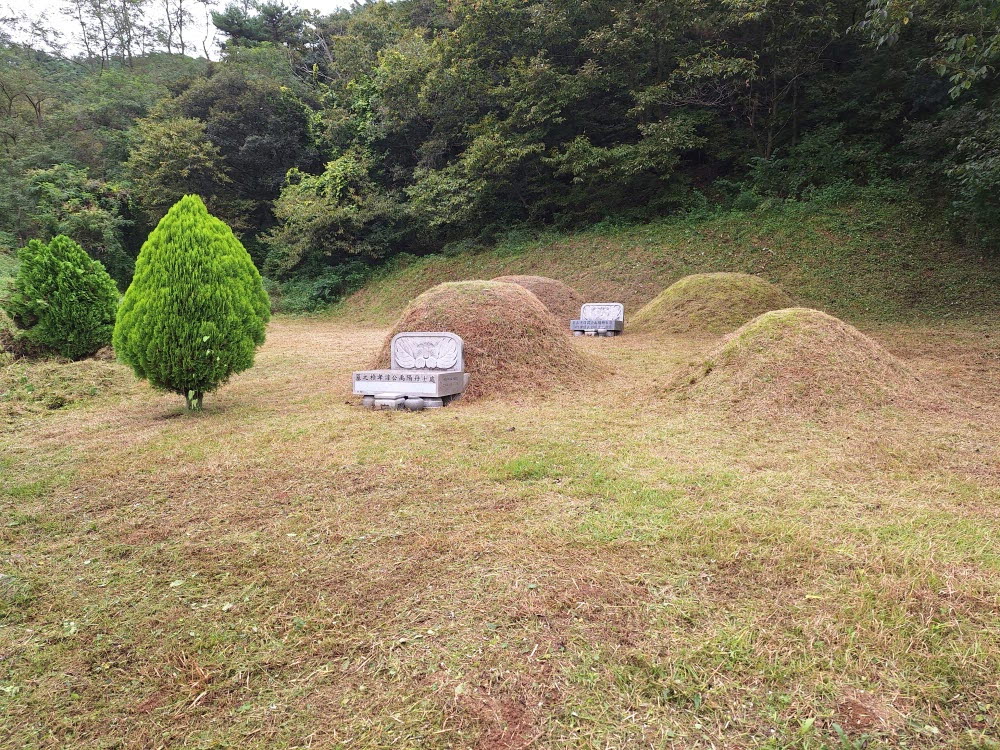 [크기변환]kakaotalk 20251020 140939421 05